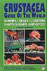 Crustacea guide of the world – Shrimps, crabs, lobsters, mantis shrimps, amphipods